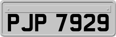 PJP7929