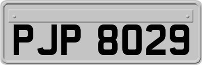 PJP8029