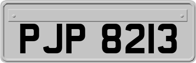 PJP8213