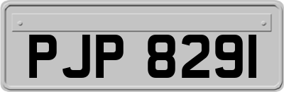 PJP8291