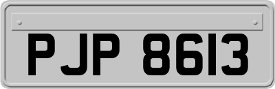 PJP8613