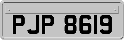 PJP8619