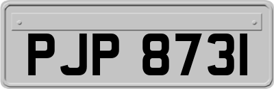 PJP8731