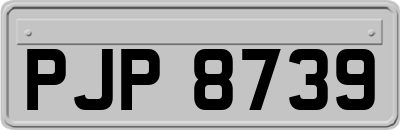 PJP8739