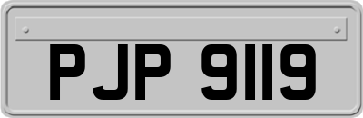 PJP9119