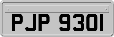 PJP9301