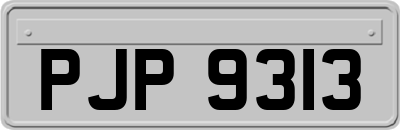 PJP9313