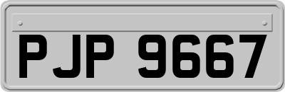 PJP9667