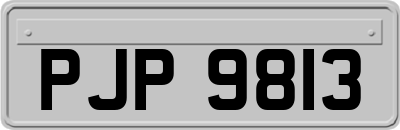 PJP9813