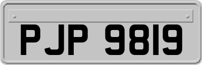 PJP9819