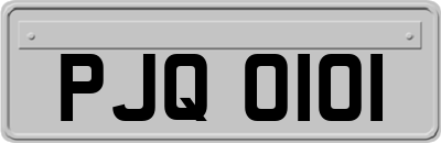 PJQ0101