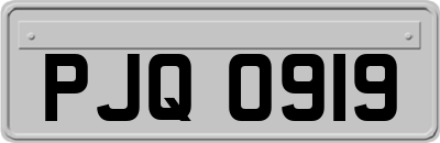 PJQ0919