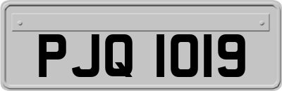 PJQ1019