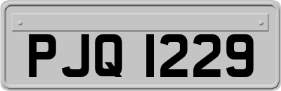 PJQ1229
