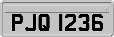 PJQ1236