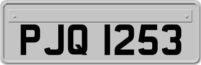 PJQ1253