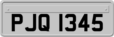 PJQ1345