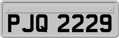 PJQ2229