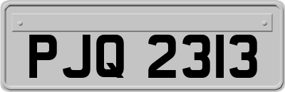 PJQ2313