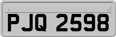 PJQ2598