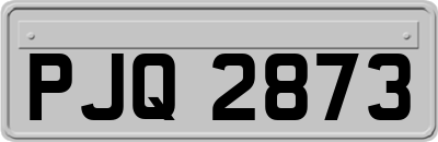 PJQ2873