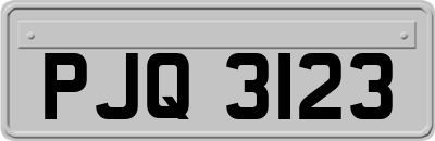 PJQ3123