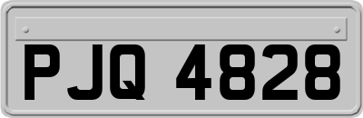 PJQ4828