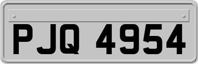 PJQ4954