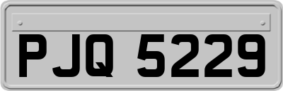 PJQ5229