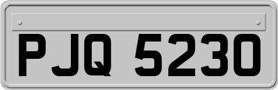 PJQ5230