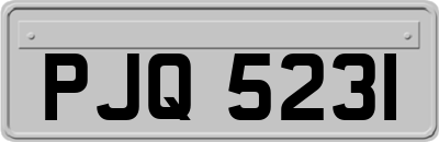 PJQ5231