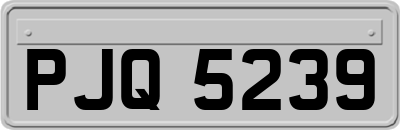 PJQ5239