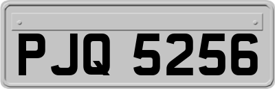 PJQ5256