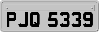 PJQ5339