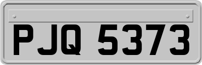 PJQ5373