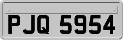 PJQ5954