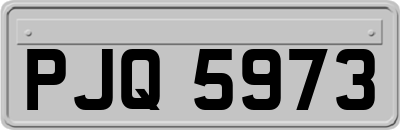 PJQ5973