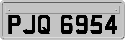 PJQ6954