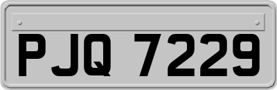 PJQ7229