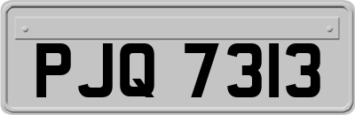 PJQ7313