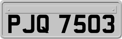 PJQ7503