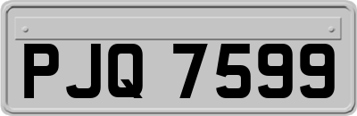 PJQ7599