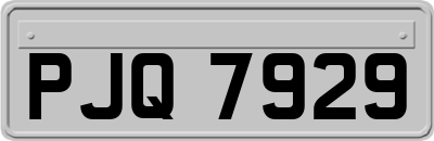 PJQ7929