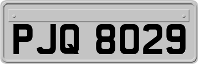 PJQ8029