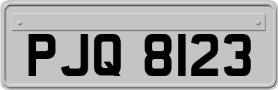 PJQ8123