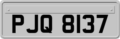 PJQ8137