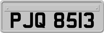 PJQ8513