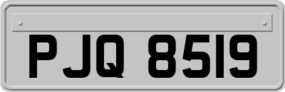 PJQ8519