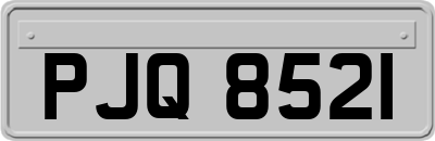PJQ8521