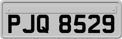 PJQ8529